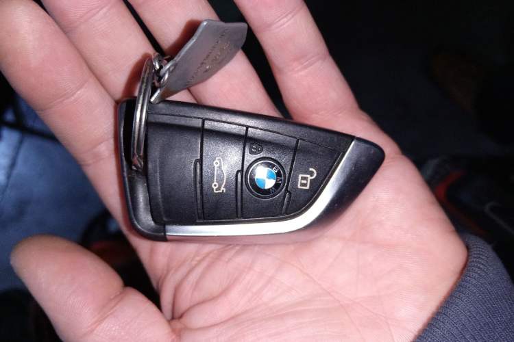 Used BMW X2 2019 sDrive25i Luxury M Sport Package China VI Emission Standard Interior 1