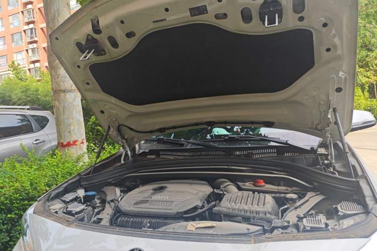 Used BMW X2 2019 sDrive25i Leading Edition M Sport Package China VI Engine Bay