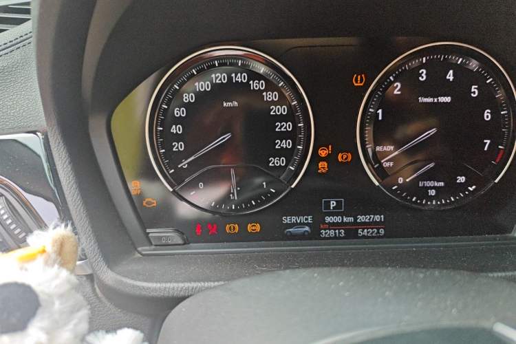 Used BMW X2 2019 sDrive25i Leading Edition M Sport Package China VI Odometer Close Up