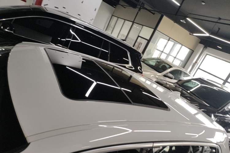 Used BMW X2 2019 sDrive20i M Sport Package China VI Emission Standard Roof
