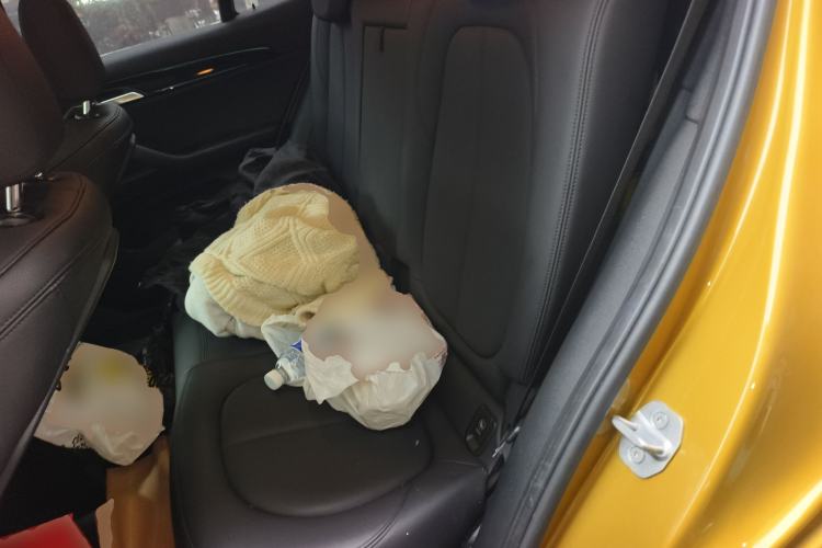 Used BMW X2 2019 sDrive20i M Sport Package China VI Emission Standard Left Rear Seat
