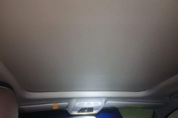 Used BMW X2 2020 sDrive20i M Sport Package Headliner