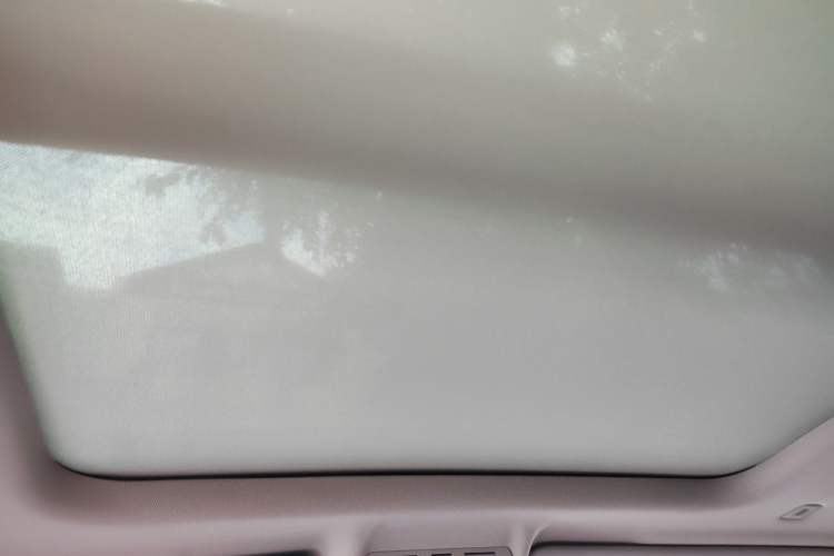 Used BMW X2 2020 sDrive20i M Sport Package Headliner