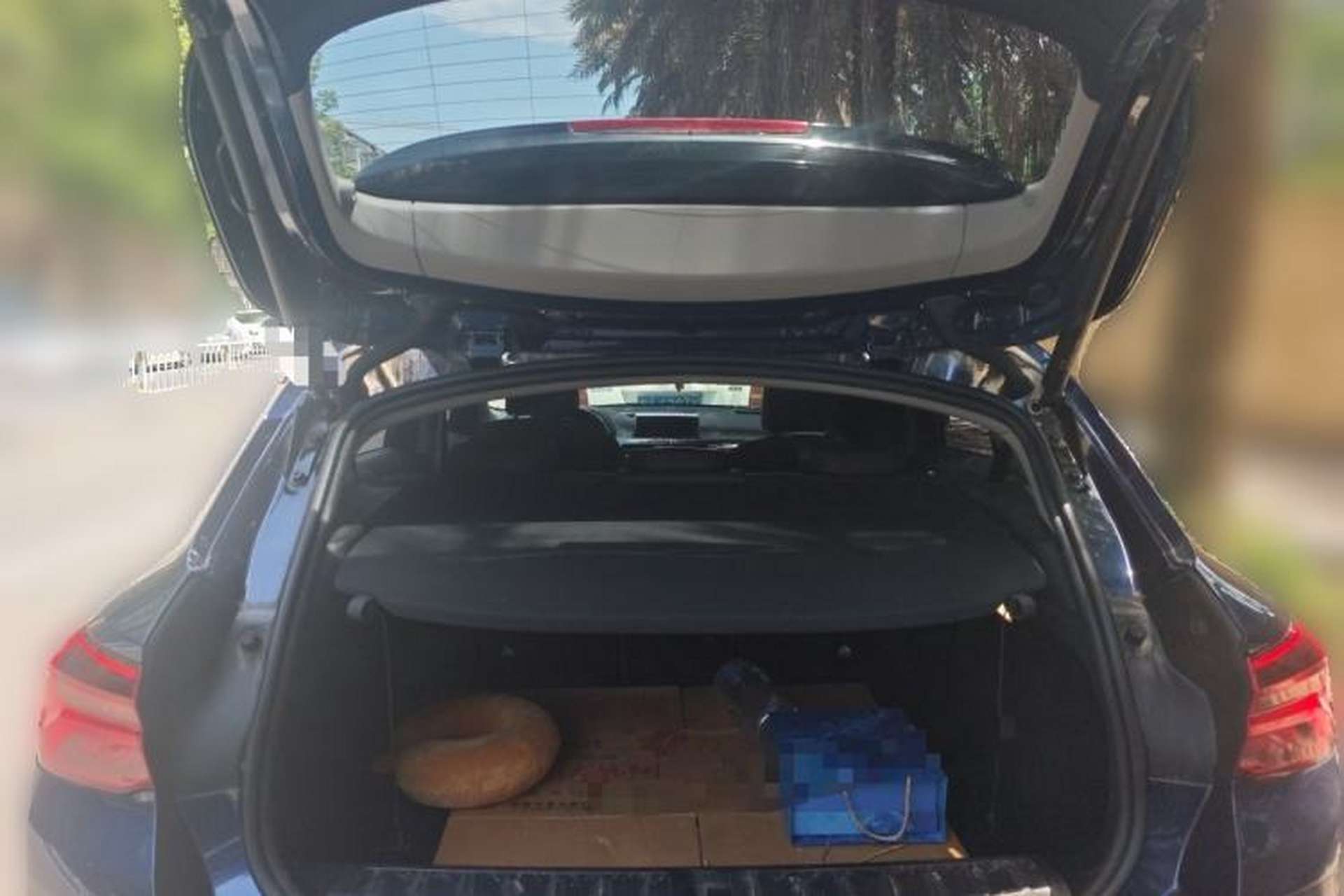 Used BMW X2 2020 sDrive20i M Sport Package Trunk