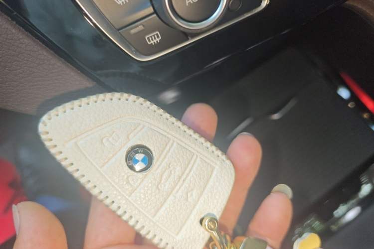 Used BMW X2 2020 sDrive20i M Sport Package Vehicle Key