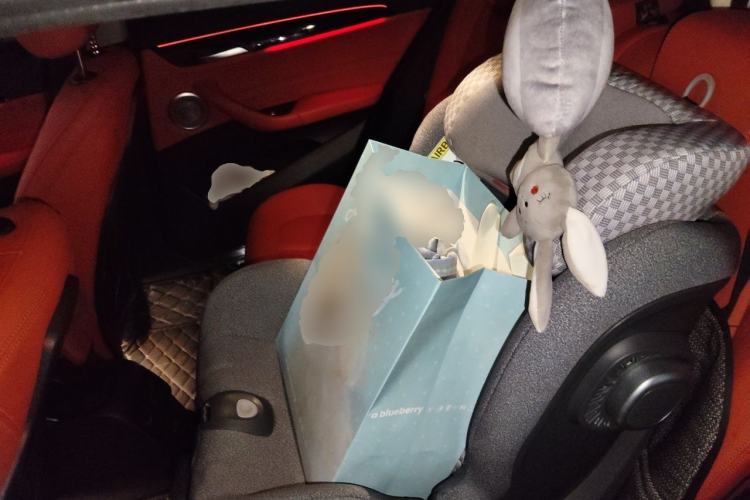 Used BMW X2 2020 sDrive25i Leading Model M Sport Package Left Rear Seat