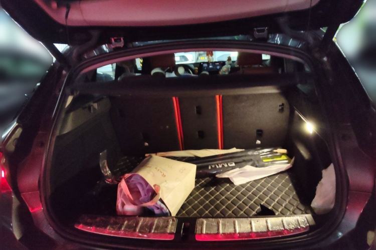 Used BMW X2 2020 sDrive25i Leading Model M Sport Package Trunk