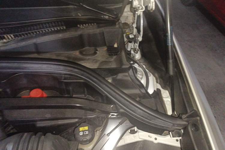 Used BMW X2 2020 sDrive25i Luxury Model with M Sport Package Engine Bay Left
