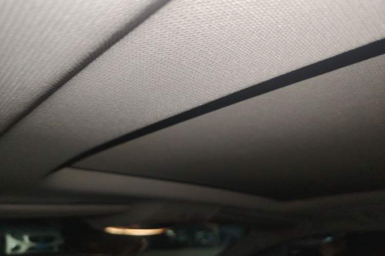 Used BMW X2 2020 sDrive20i M Sport Package Headliner