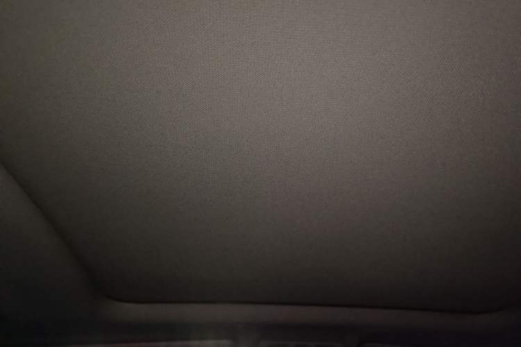 Used BMW X2 2020 sDrive20i M Sport Package Headliner