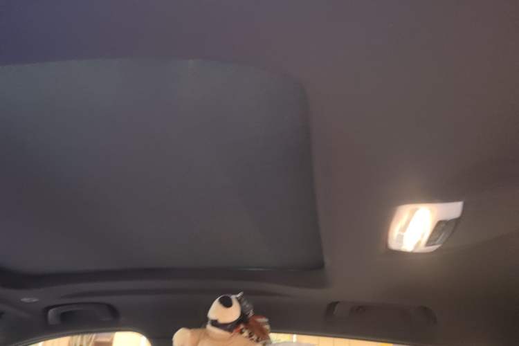 Used BMW X2 2020 sDrive25i Leading Model M Sport Package Headliner