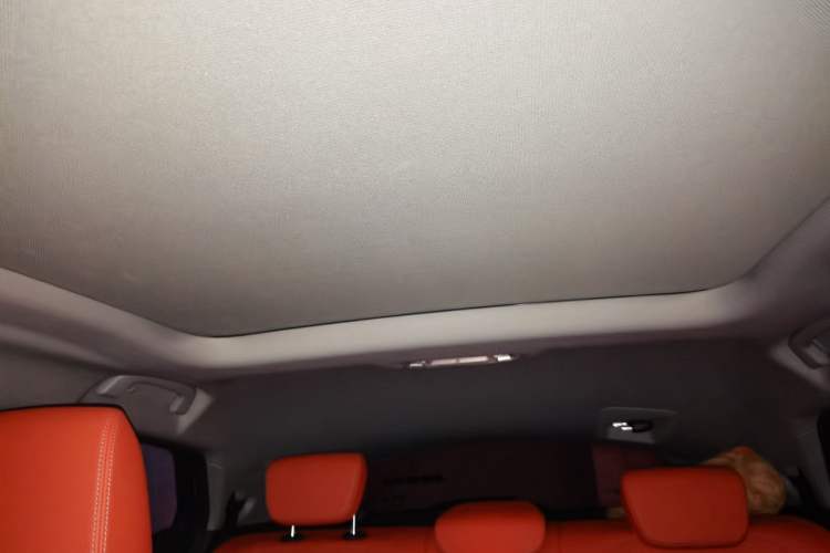 Used BMW X2 2020 sDrive20i M Sport Package Headliner