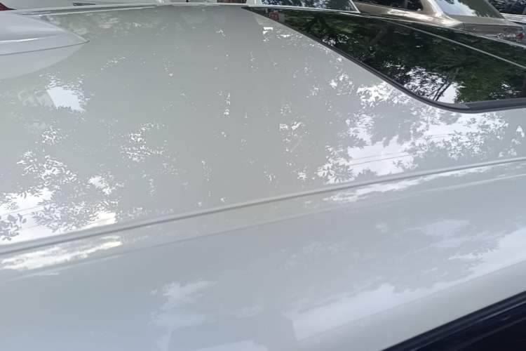 Used BMW X2 2020 sDrive25i Leading Model M Sport Package Roof