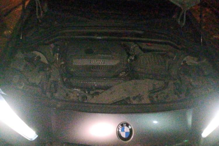 Used BMW X2 2021 sDrive25i M Sport Package Engine Bay