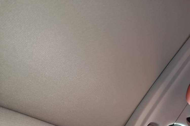 Used BMW X2 2021 Restyled sDrive25i M Sport Package Headliner