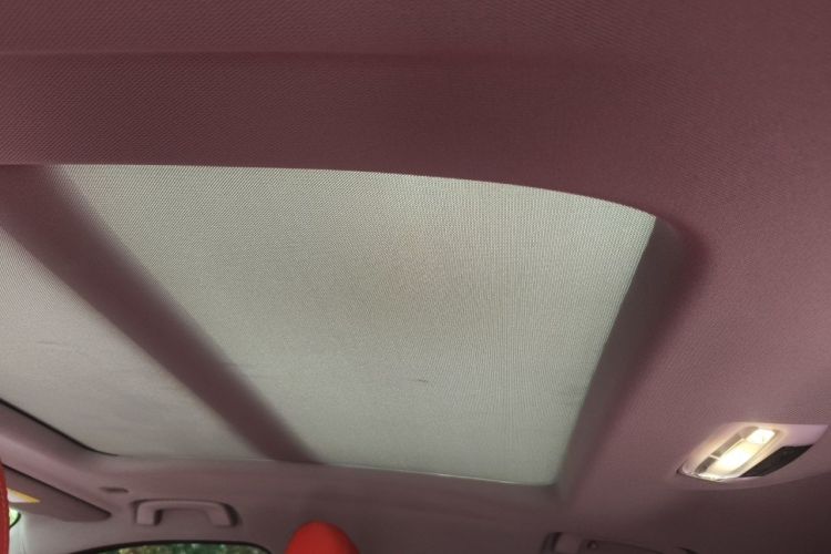Used BMW X2 2021 sDrive25i M Sport Package Headliner