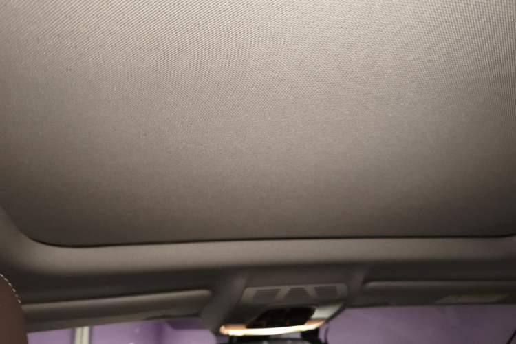 Used BMW X2 2021 Restyled sDrive25i M Sport Package Headliner