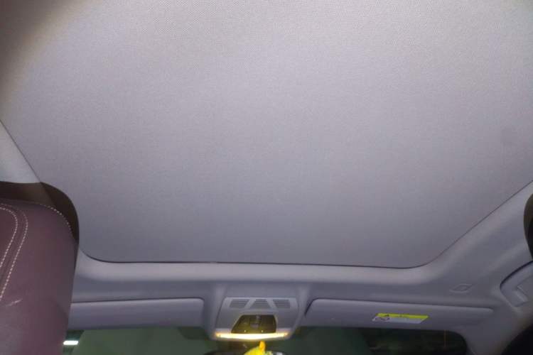 Used BMW X2 2021 sDrive25i M Sport Package Headliner