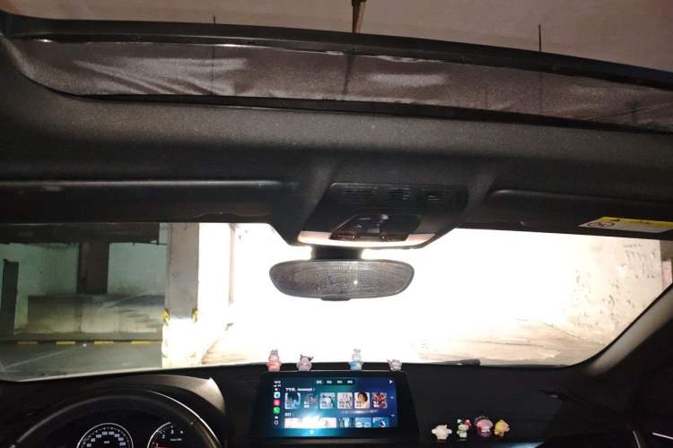 Used BMW X2 2021 sDrive25i Leading Model M Off-Road Package Headliner