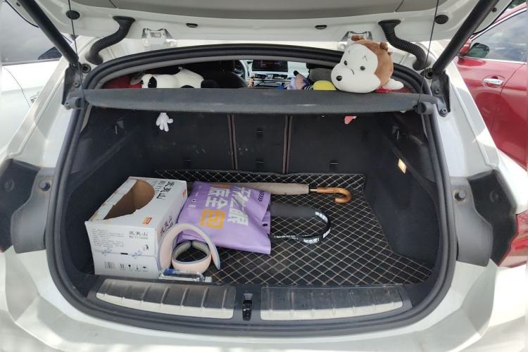 Used BMW X2 2021 sDrive25i M Sport Package Trunk