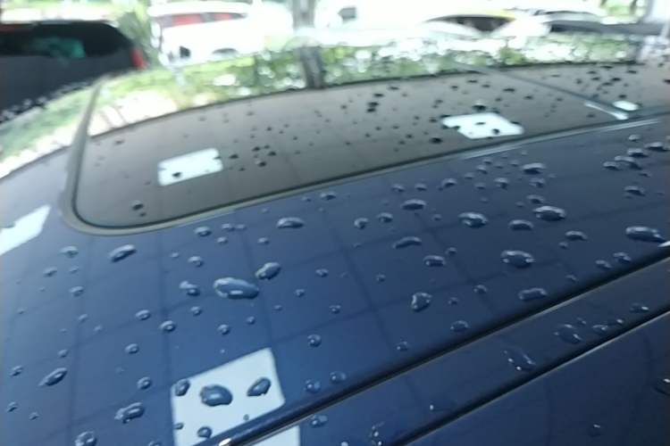 Used BMW X2 2022 sDrive25i M Sport Package Roof