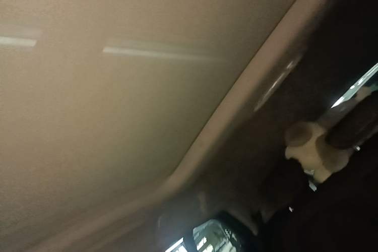 Used BMW X2 2022 sDrive25i M Sport Package Headliner