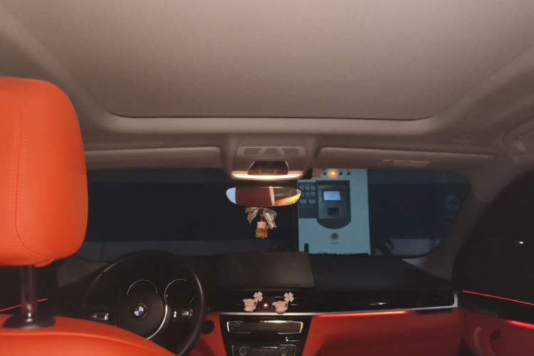 Used BMW X2 2022 sDrive25i M Sport Package Headliner