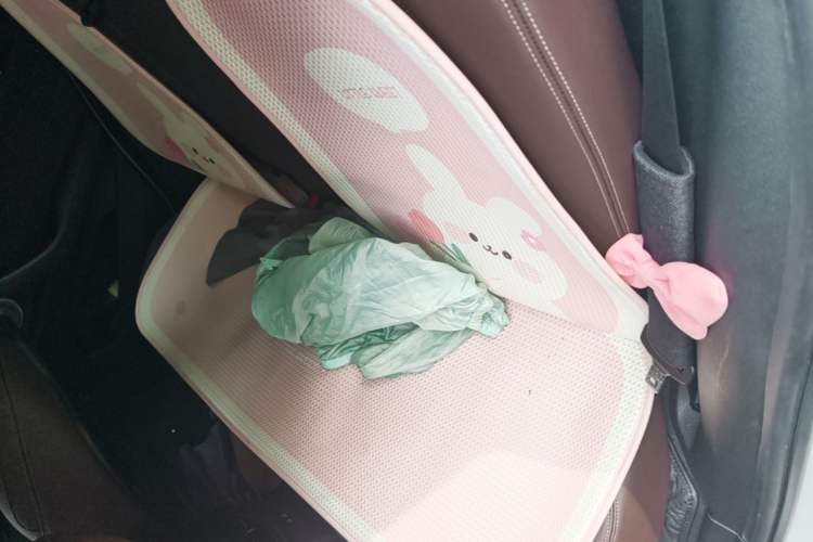 Used BMW X2 2022 sDrive25i M Sport Package Left Rear Seat