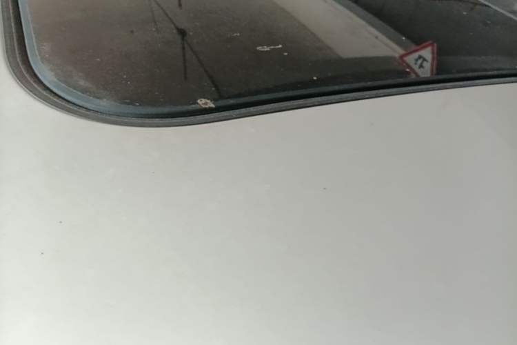 Used BMW X2 2022 sDrive25i M Sport Package Roof