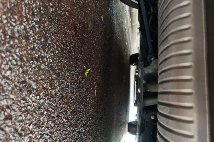 Used BMW X2 2023 sDrive25i M Sport Night Edition Chassis Rear