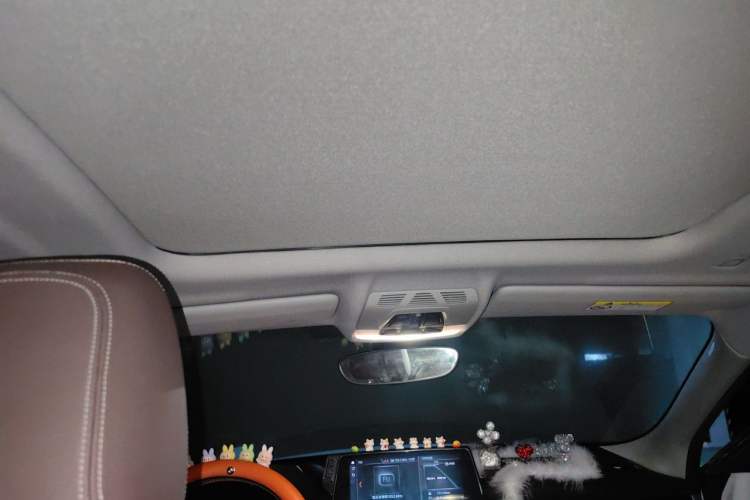 Used BMW X2 2023 sDrive25i M Sport Night Edition Headliner