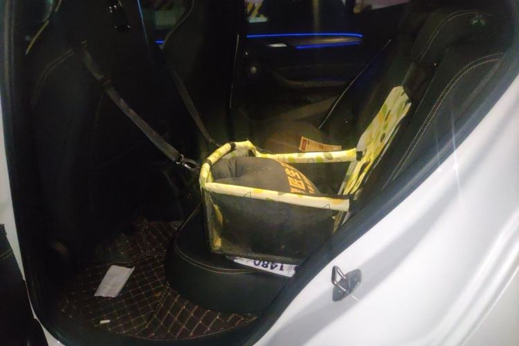 Used BMW X2 2023 sDrive 25i Shining Edition Left Rear Seat