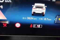 Thumbnail 13
