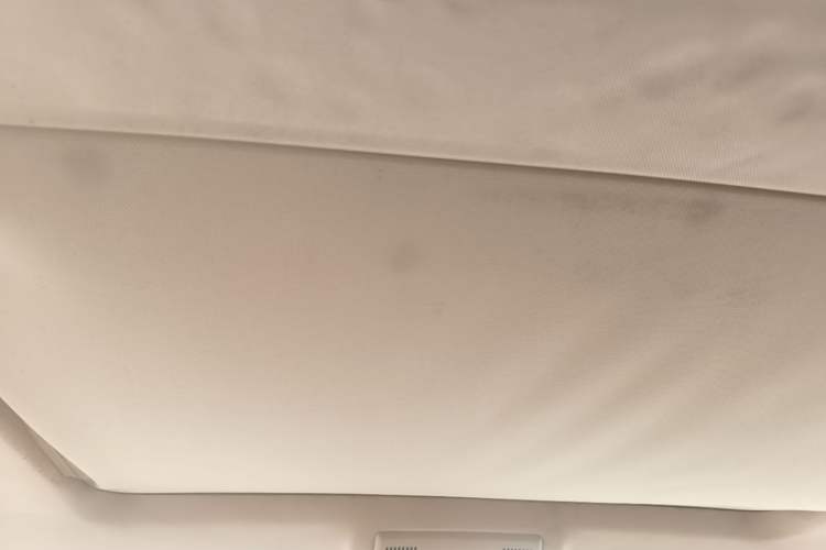 Used BMW X3 2008 xDrive25i Luxury Model Headliner