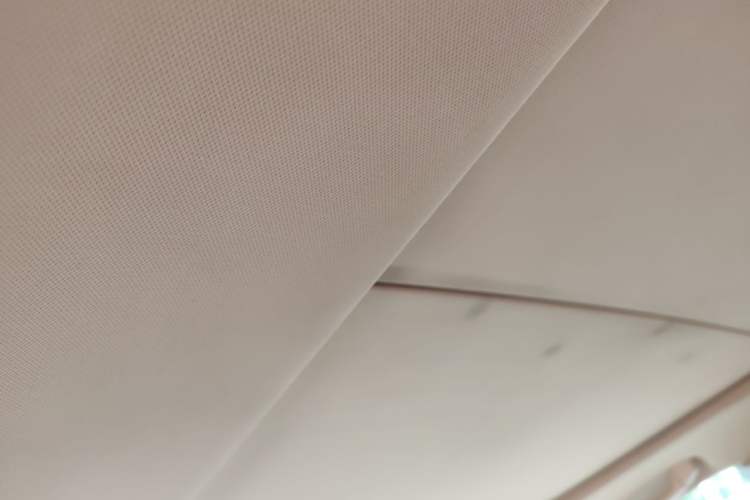 Used BMW X3 2009 xDrive25i Luxury Plus Model Headliner