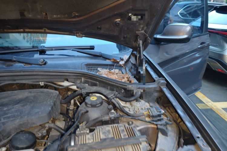 Used BMW X3 2013 Facelifted xDrive20i Luxury Edition Engine Bay Left