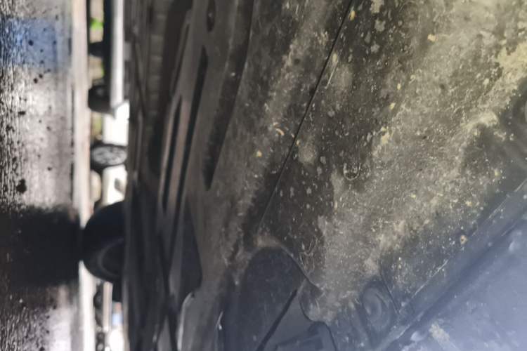 Used BMW X3 2014 xDrive20i Leading Model Chassis Rear Right