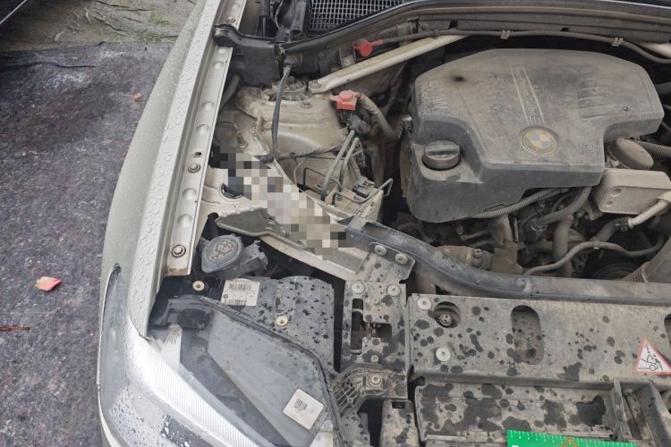 Used BMW X3 2014 xDrive20i X Design Package Engine Bay Right