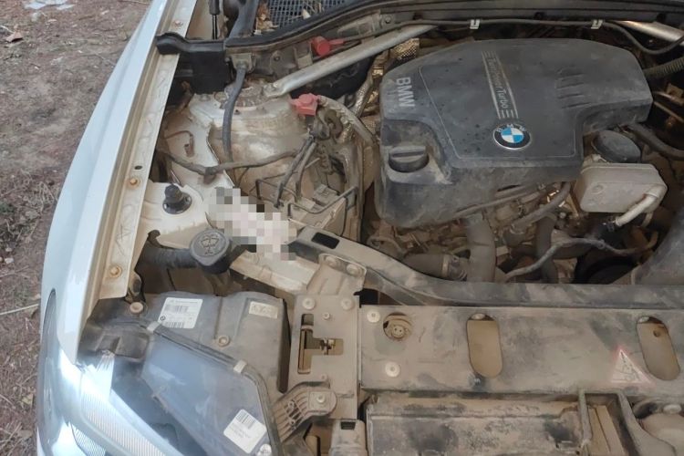 Used BMW X3 2014 xDrive20i X Design Package Engine Bay Right