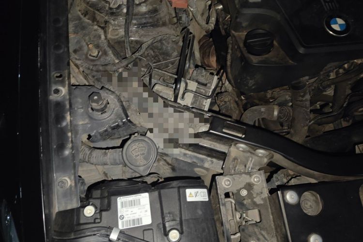Used BMW X3 2016 sDrive20i Engine Bay Right