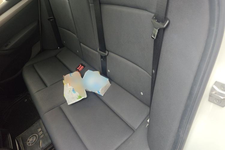 Used BMW X3 2016 sDrive20i Left Rear Seat