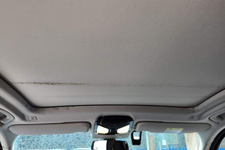 Used BMW X3 2018 xDrive28i Luxury Package China V Headliner
