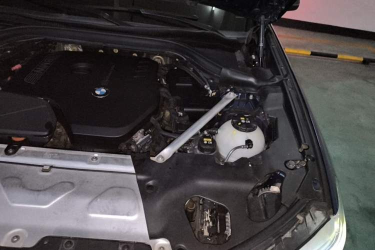 Used BMW X3 2018 xDrive30i Luxury Edition M Sport Package China VI Engine Bay Left