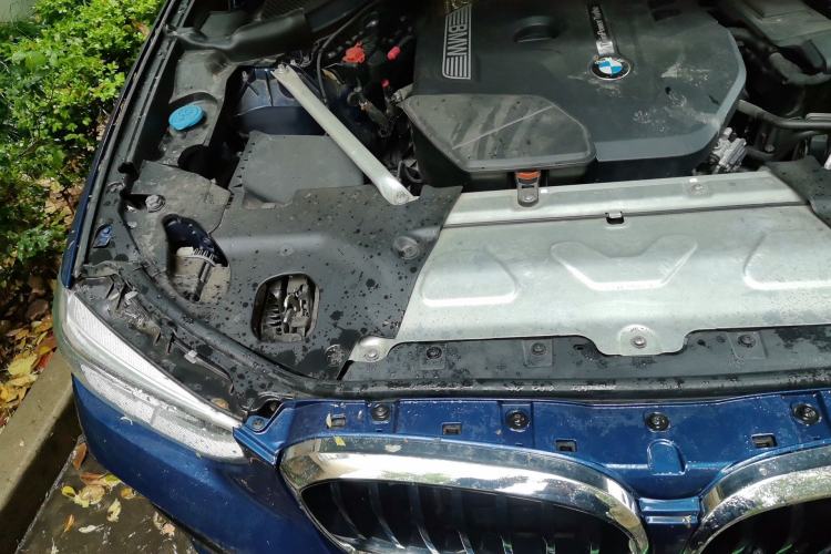 Used BMW X3 2018 xDrive25i M Sport Package China V Engine Bay Right