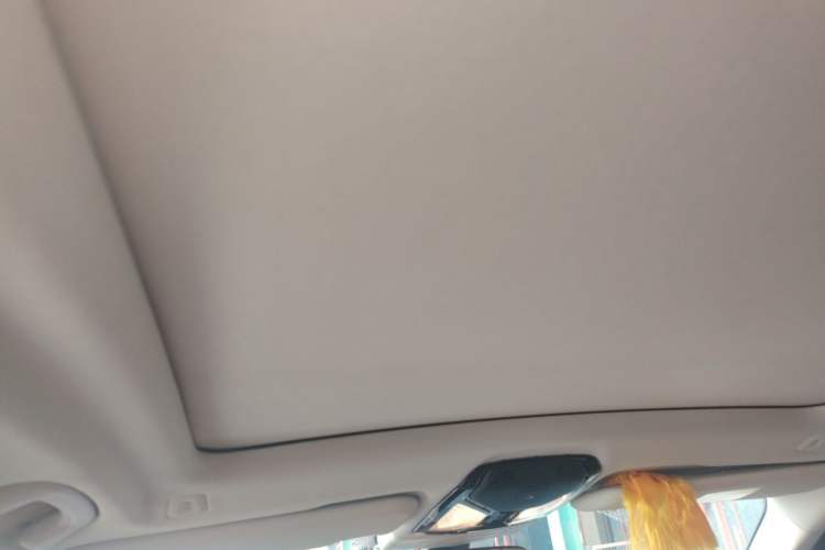 Used BMW X3 2018 xDrive30i Luxury Model M Sport Package China V Headliner