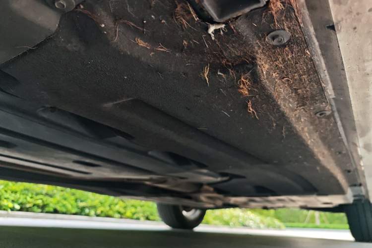 Used BMW X3 2018 xDrive25i M Sport Package China V Chassis Front Left