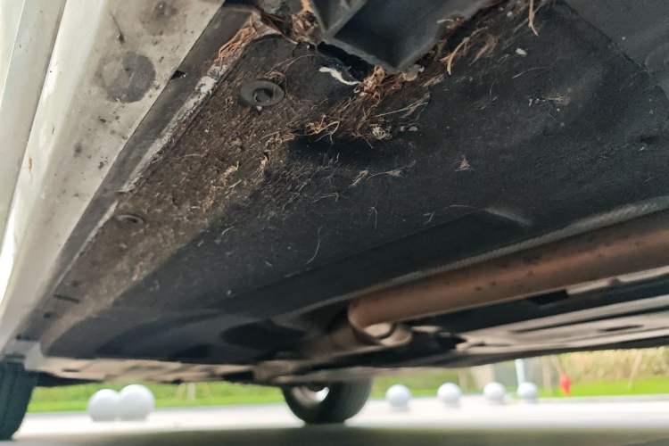 Used BMW X3 2018 xDrive25i M Sport Package China V Chassis Front Right