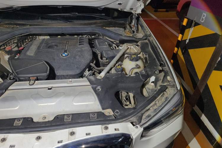 Used BMW X3 2018 xDrive25i Luxury Package China V Engine Bay Left