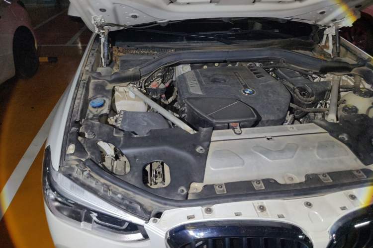 Used BMW X3 2018 xDrive25i Luxury Package China V Engine Bay Right