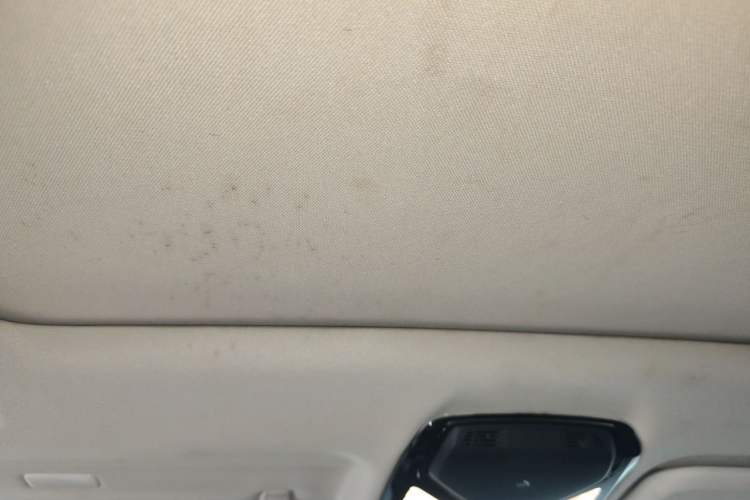 Used BMW X3 2018 xDrive25i M Sport Package China V Headliner
